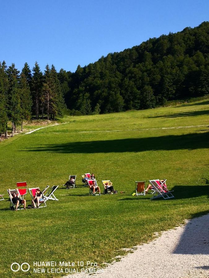 Casa Dolce Casa Lejlighed Aviano Eksteriør billede